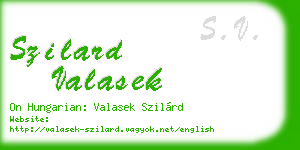 szilard valasek business card