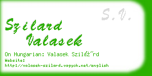 szilard valasek business card